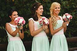 Bridesmaids Picture