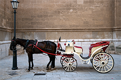 Transportation Picture